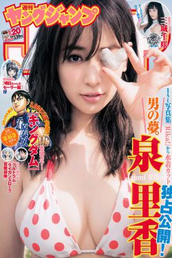 记忆之城电视剧