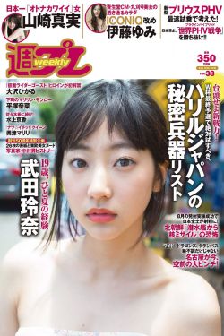 奥巴马抓大盗中文版