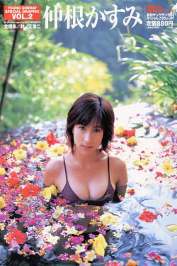 电视剧断奶全集