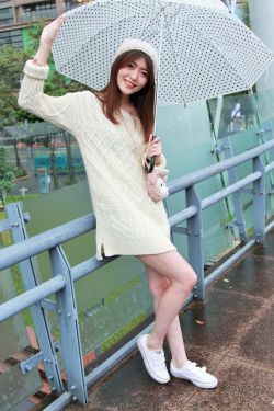 向风而行免费观看全集电视剧完整版